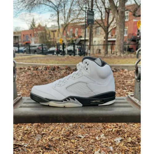 Air Jordan Retro 5 Reverse Silver Shoes For Men (SZ56)