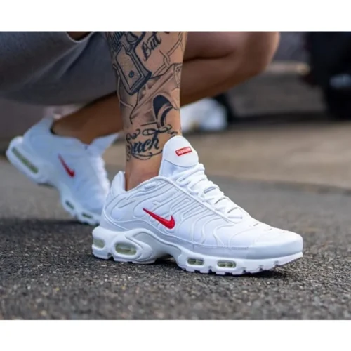 Nike Air Max Plus Tn White Shoes For Men (SW1275)
