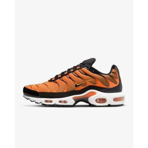 Stylish Nike Air Max Plus Sunset Shoes For Men (LL641)