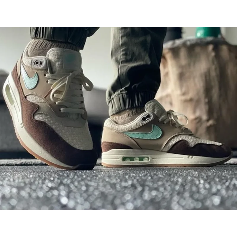Trendy Nike Air Max 1 Brown Stone Shoes For Men (SW5655)