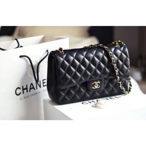 Chanel Handbag For Women (FT217)